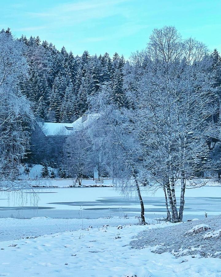 Lakeside Apartments Seefeld Seefeld in Tirol Eksteriør bilde